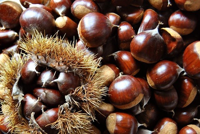 Prodotti autunnali dell'Azienda Agricola Ingino