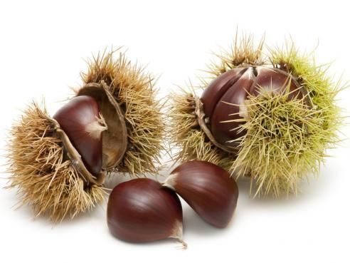CASTAGNE FRESCHE VARIETA': VERDOLE - Azienda Ingino